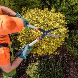 Gardening Services